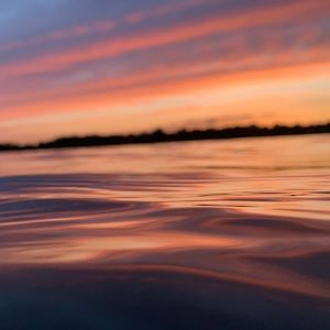 Meet your Posher, Shelby